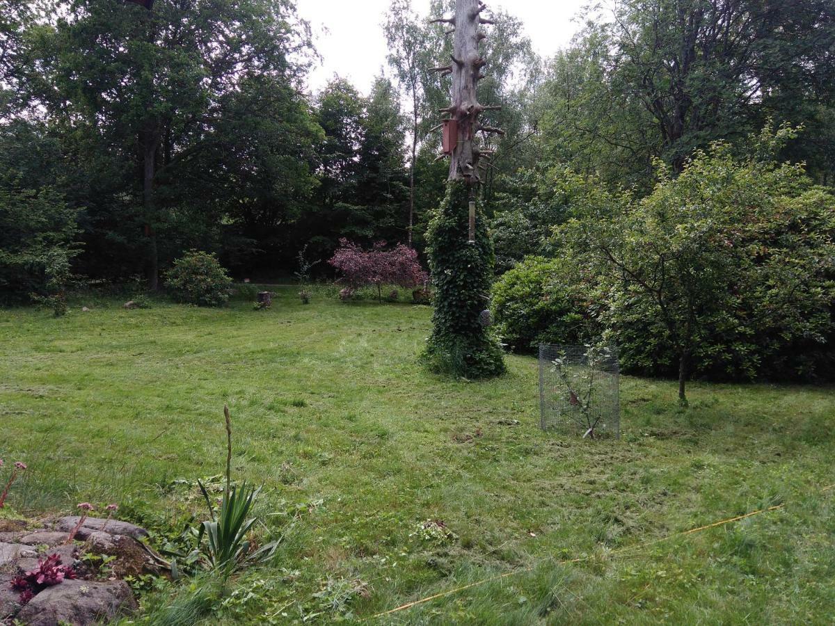 Pusterummet, Klaveroed Klaverod Bagian luar foto